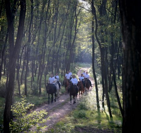 TÁJÉKOZTATÓ A GINOP-7.2.1 PÁLYÁZATI LEHETŐSÉGEKRŐL